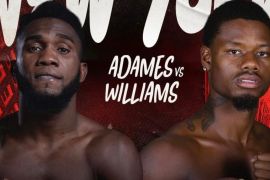 Laga juara WBC Adames lawan Williams batal akibat sang juara sakit