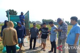 Bulog serap gabah petani OKU Timur