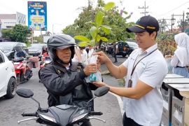 Bagi-bagi 600 bibit tanaman di Madiun untuk cegah pemanasan global