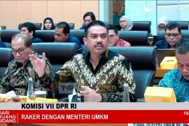 Menteri UMKM dan DPR bahas penguatan kebijakan batasi impor ilegal