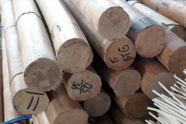 Bea Cukai perketat pengawasan perdagangan ilegal di Kalbar