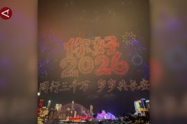 Begini kemeriahan perayaan Tahun Baru di berbagai penjuru dunia