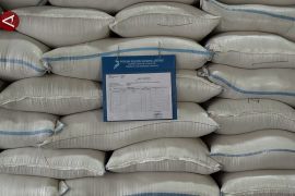 Bulog Jateng pastikan stok pangan aman hingga tujuh bulan ke depan