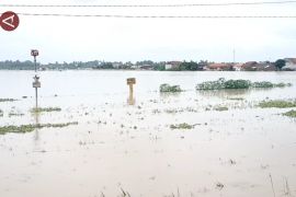 DKPP Kab. Serang ajukan bantuan benih padi akibat puso