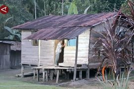 Energi berkeadilan, PLN Papua mengaliri listrik 128 kampung pada 2025