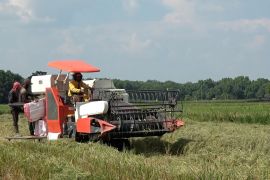 Pemprov Sumsel targetkan produksi padi naik 5 persen tahun 2026