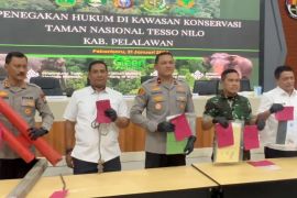 Polda Riau tetapkan sembilan tersangka perusakan fasilitas TNTN