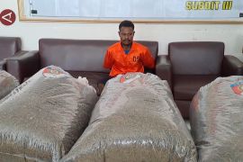 2025 kasus naik, Polda Papua bertekad berantas narkoba hingga tuntas