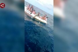 Imigrasi Palu segera pulangkan 15 WNA Filipina yang terdampar di Buol