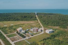 KEK Maloy di Kaltim dipastikan siap untuk proyek hilirisasi sawit