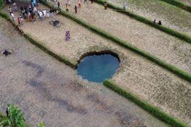 Bukan obat penyembuh, air sinkhole Sumbar mengandung bakteri E. coli