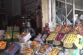 Afghanistan ekspor buah segar senilai 142 USD juta dalam setahun