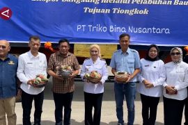 Sultra ekspor perdana 15 ton ubur-ubur dari Baubau ke China