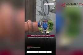 Warga resah biawak masuk permukiman, Damkar siap bertindak