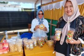 Kemenkum Malut: UMKM bisa naik kelas jika daftarkan merek usaha