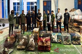 Tim gabungan Bea Cukai Langsa gagalkan ekspor ilegal satwa dilindungi
