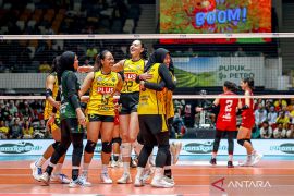 Proliga 2026 - Gresik Phonska sapu bersih dua laga kandang usai kalahkan Falcons