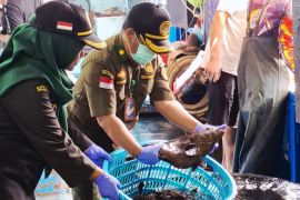 Karantina Kepri kawal ekspor ikan hidup dari Natuna ke Hong Kong