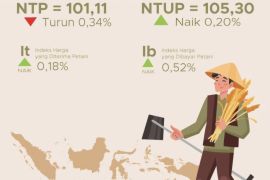 BPS: NTP NTT per Januari 2026 turun 0,34 persen