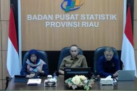 Harga cabai merah turun, Riau alami deflasi 0,45 persen