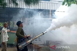 Pengasapan di Pulau Harapan untuk cegah DBD