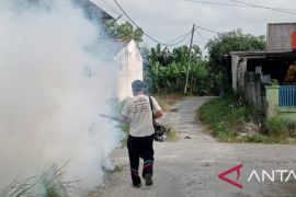 Pemerintah Bangka gencar tekan penyebaran kasus DBD