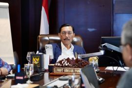 Luhut jamin reformasi pasar modal pro investor dan stabilitas pasar