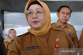 Wabup Tangerang ingatkan bahaya radikalisme anak di ruang digital