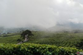 BRIGADE menutup jalur pendakian ke puncak Gunung Dempo