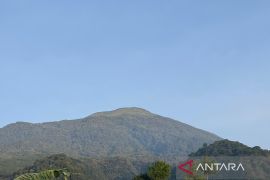 Pemulihan ekosistem di Gunung Ciremai terus berkelanjutan