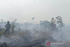 Pemkab Aceh Barat tetapkan status darurat bencana kebakaran lahan