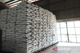 Bulog Belitung pasok 875 ton beras hadapi Ramadan 1447 Hijriah