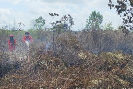 Tim gabungan padamkan karhutla lima hektare di Singkawang Selatan