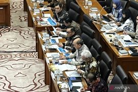 Pemerintah bidik persiapan proyek hilirisasi kelapa rampung Desember