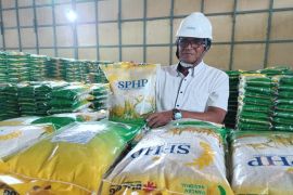 Stok beras Bulog Kalbar aman hadapi Imlek, Cap Go Meh, dan Ramadhan