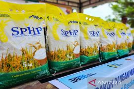 Bulog: Cadangan Beras di Natuna 928 Ton, Cukup hingga Juni 2026