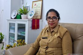 Pemprov NTT catat 556 anak dan perempuan korban kekerasan pada 2025