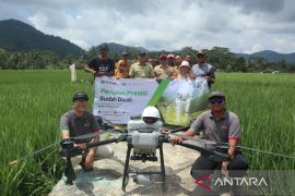 Pemkab Kuningan menerapkan teknologi drone untuk kendalikan OPT padi