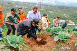 KJW dan Pemkab Wonosobo menggelar kegiatan sosial peringati HPN 2026