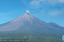 Semeru alami erupsi tujuh kali dalam waktu tiga jam