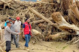 Bupati Aceh Timur: Kayu sisa banjir untuk bangun fasilitas publik
