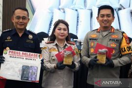 Polisi gagalkan penyelundupan 85.750 ekor benih lobster ke Singapura