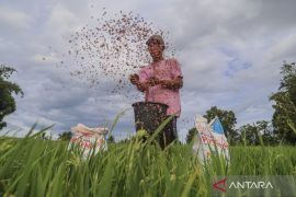 Kementan siapkan aturan turunan Perpres Tata Kelola Pupuk Bersubsidi