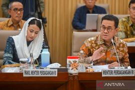 Indonesia masuk lima besar negara eksportir besi-baja dunia