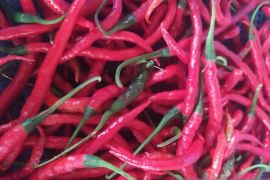 IHK Januari 2026, Kota Pematang Siantar deflasi, cabai turut penyumbang