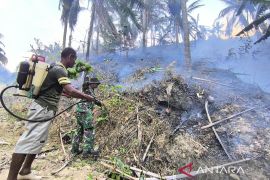 Pemkab Parigi Moutong buka opsi minta bantuan helikopter padamkan karhutla