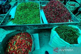 PIHPS: Harga cabai rawit merah dan telur ayam masih tinggi