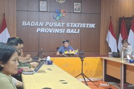BPS ungkap penurunan partisipasi kerja perempuan Bali