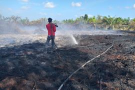 Makin membara, ada lonjakan 160 titik panas di Provinsi Riau