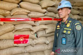 Barantin tolak 80 ton kacang tanah impor asal Malaysia karena aflatoksin tinggi